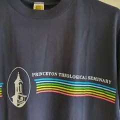 70‘sUSAビンテージVelvaSheenベルバシーンカレッジＴシャツ