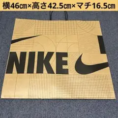 Item thumbnail for item ca422f32-82b3-403f-91bc-48184ec12f69