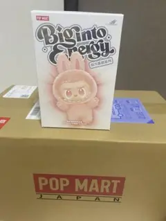【正規品・未開封】Labubu Big into Energy 1箱