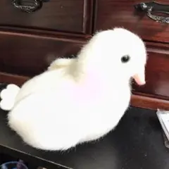 靖国神社　白ハト　ぬいぐるみ