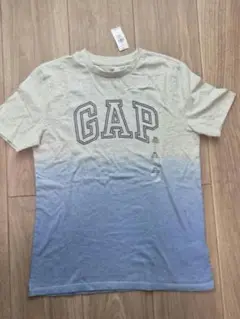 GAP グラデーション Tシャツ XXL 160