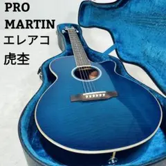 ProMartin Custom W24OTS プロマーチン アコギ ギター 2025年最新】pro martin customの人気アイテム - メルカリ