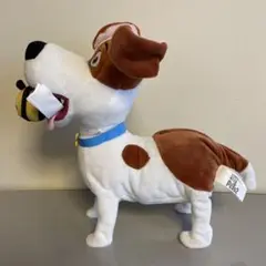 Item thumbnail for item 7f458292-5cb6-49ae-b77a-f301bb47dae3