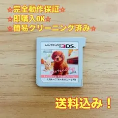 ニンテンドックス＋ cats トイ・プードル＆Newフレンズ　3DS