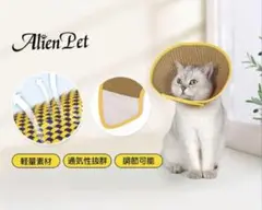 Item thumbnail for item bf302bd2-2ade-48a5-8523-d9e55337d991