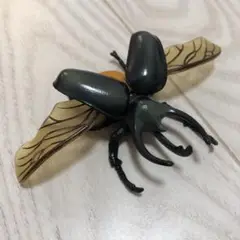 リアル昆虫フィギュア コーカサスオオカブト 約10cm