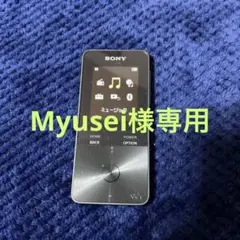 SONY WALKMAN NW-S313 B + JVC HA-FX11BT
