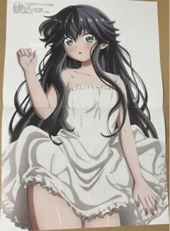 メガミマガジン1月号付録ピンナップ パーティーから追放された治癒師
