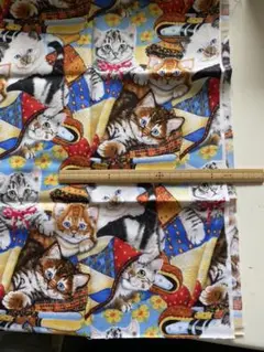 Item thumbnail for item 54d5e8fa-0d0b-447e-874b-6b23a26fa9ea