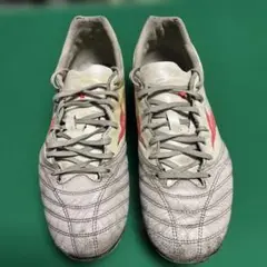 モナルシーダネオ3 プロ