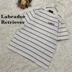 【ラブラドールリトリバー】ボーダー　Tシャツ　Lサイズ　メンズ