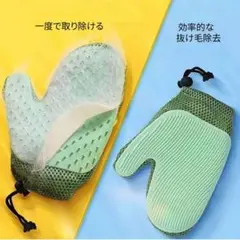 Item thumbnail for item 00b09cb6-fad4-490a-a635-b568de7f1acb