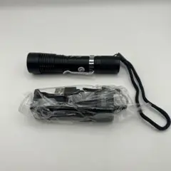【新品】IPX8強力防水ダイビングライト 2600mAh 充電器付 3モード対応