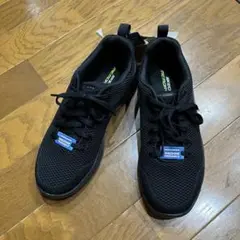 【25.5cm】スケッチャーズ SUMMITS - BRISBANE