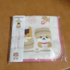 Item thumbnail for item c43ceaff-e172-4f18-bd12-e30dfc95b853