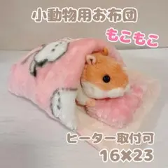 Item thumbnail for item ebec033d-f708-4582-a8de-6b5e86f1b83f