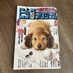 ビッグコミックオリジナル2025.8.20 16号