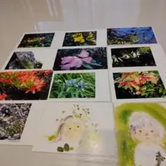 絵葉書12枚セット　岩崎ちひろ