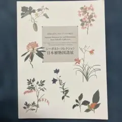 シーボルトコレクション日本植物図譜展
