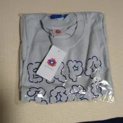 お値下！万博　刺繍　EXPO 2025 サガラTシャツ グレー ユニセックス L