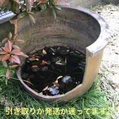 骨董品　アンティーク　レトロ　ヴィンテージ