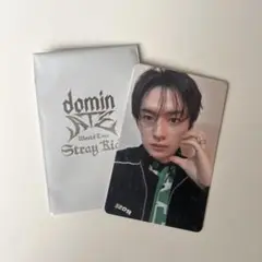 straykids dominATE リノ トレカ 1万円特典