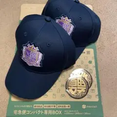 サンフレッチェ広島レジーナ　開幕戦記念 キャップ ネイビー ×2ステッカー２枚