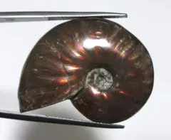 Item thumbnail for item 7e126118-b0d2-4d1f-b9c6-3c010e662478