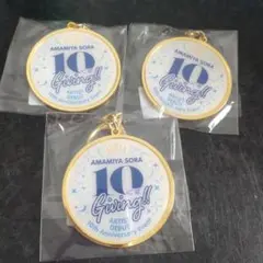 雨宮天 メダルキーホルダー 10くすGiving!!