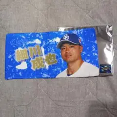 未使用　中日ドラゴンズ 細川成也 シークレット選手プチタオル