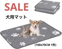 Item thumbnail for item e1d2360b-f74b-4283-adf7-f1949ea10bd8