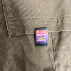 ポケモン　バイオレット