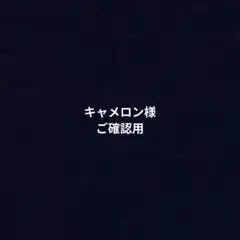 キャメロン様ご確認用