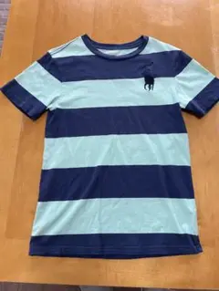 POLO 青緑ストライプ Tシャツ