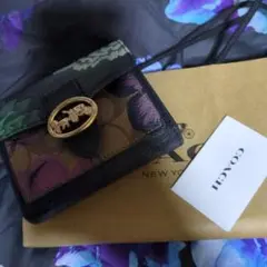 Item thumbnail for item 6c031e49-397a-4eb8-96ff-fa1e6b2d0058