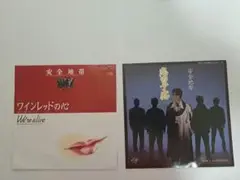 安全地帯 『ワインレットの心 』『恋の予感』のシングルレコード２枚セット