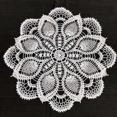 パイナップルドイリー　257