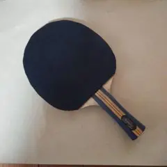 アコースティックカーボン