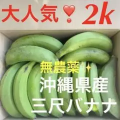1108y①大人気❣️沖縄県産三尺バナナ(台湾系島バナナ)✨2キロ分✅