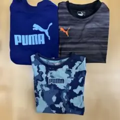 PUMA 半袖Tシャツ 3枚セット　150センチ