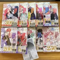 売られた辺境伯令嬢は隣国の王太子に溺愛される11巻まとめて