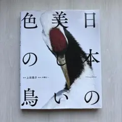 日本の美しい色の鳥