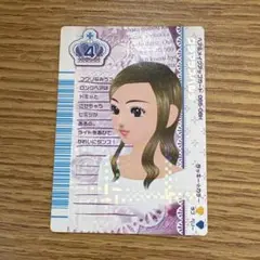 グラマラスベルダ　2008春ベストコレクション