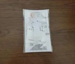 Item thumbnail for item 11dd145e-70b8-4073-9ba3-c78c3bcf2db3