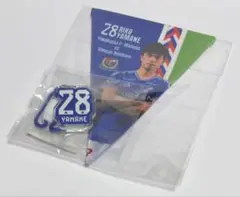 サッカー 横浜fマリノス 山根陸 マッチデーガーランド 2024 グッズ 新品