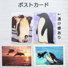 ポストカード はがき ステーショナリー 4点 まとめ売り 未使用品 良品