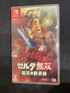Nintendo Switch ゼルダ無双　厄災の黙示録