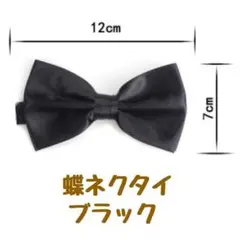Item thumbnail for item 3d3d7958-0102-4dcb-99c0-798324b9e0e9