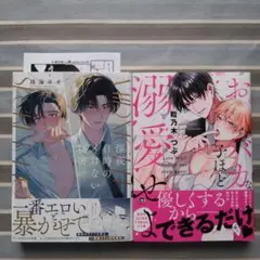 BL 深夜0時のイけない秘密/おバカな子ほど溺愛せよ