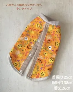Item thumbnail for item e7395989-a7df-4f88-b974-54535fe5b655
